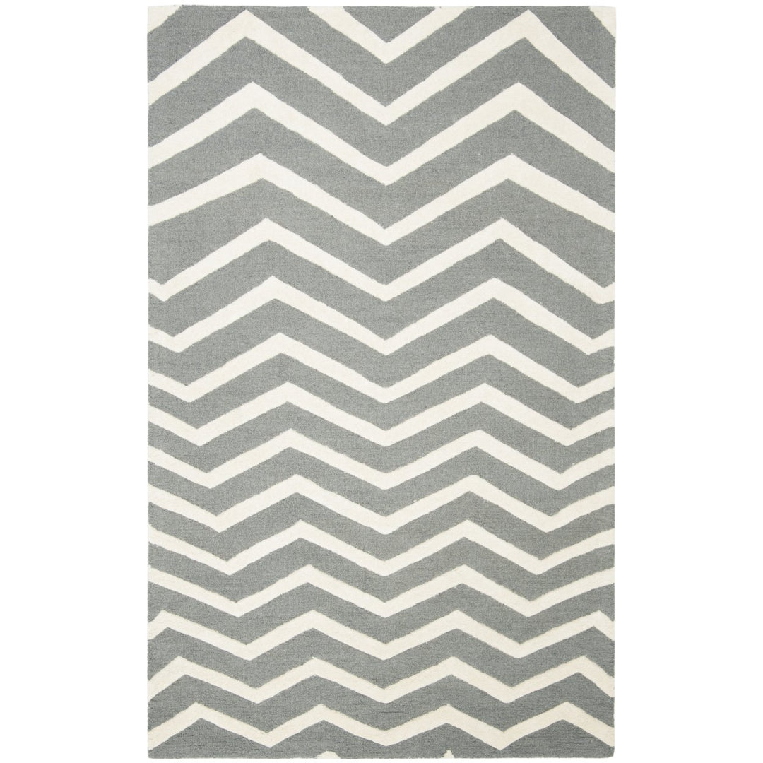 SAFAVIEH Cambridge CAM714D Dark Grey / Ivory Rug Image 1