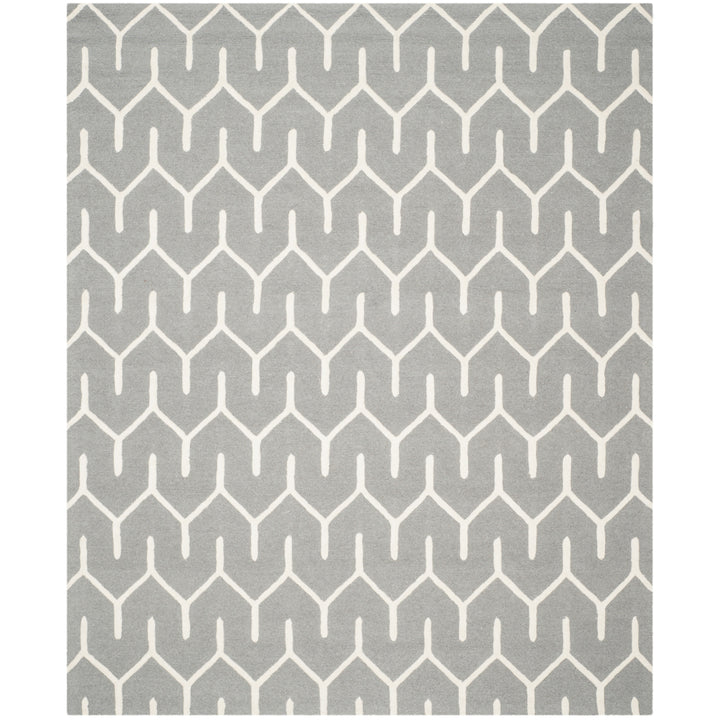 SAFAVIEH Cambridge CAM720D Dark Grey / Ivory Rug Image 1