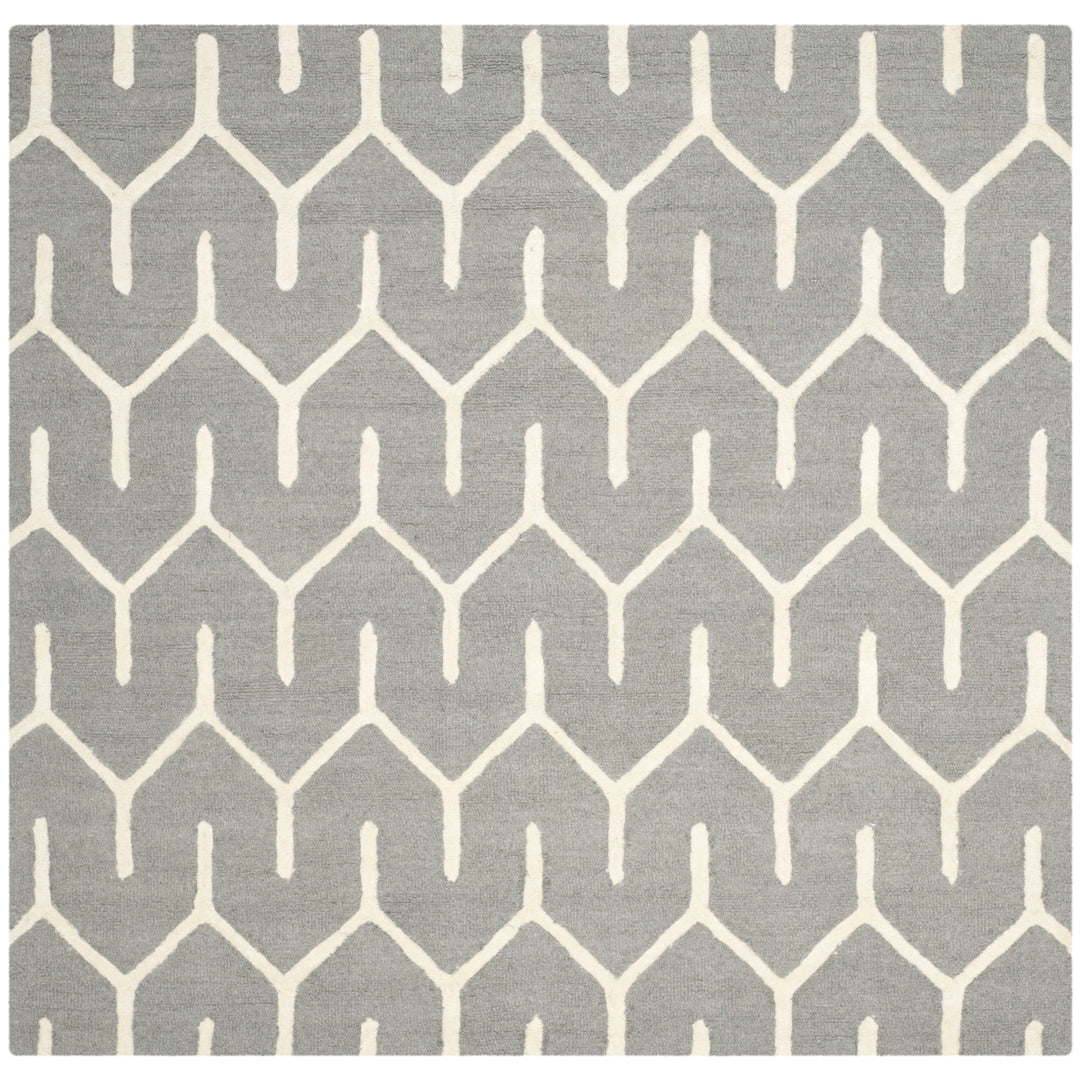 SAFAVIEH Cambridge CAM720D Dark Grey / Ivory Rug Image 4