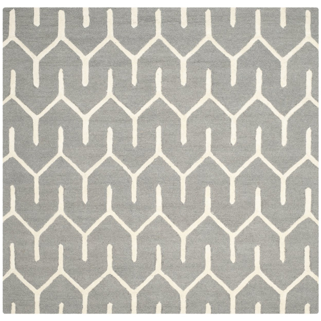 SAFAVIEH Cambridge CAM720D Dark Grey / Ivory Rug Image 1