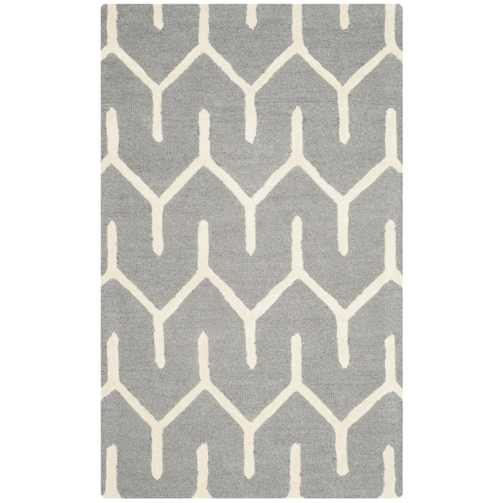 SAFAVIEH Cambridge CAM720D Dark Grey / Ivory Rug Image 6