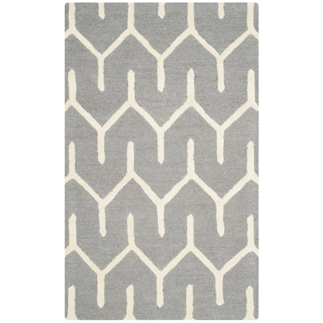 SAFAVIEH Cambridge CAM720D Dark Grey / Ivory Rug Image 1