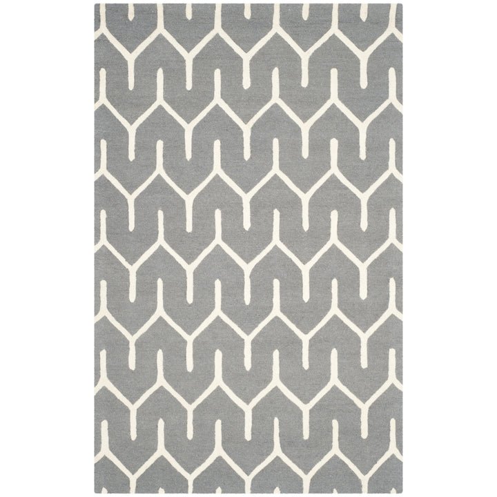 SAFAVIEH Cambridge CAM720D Dark Grey / Ivory Rug Image 7