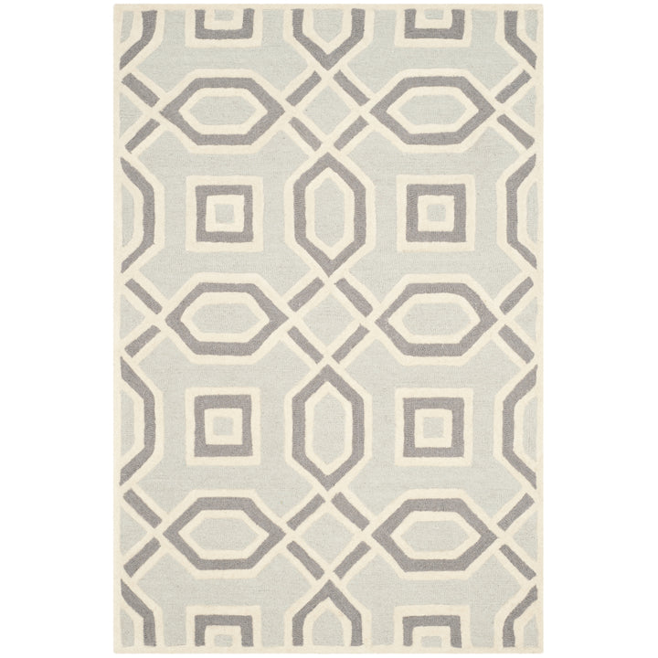 SAFAVIEH Cambridge CAM723G Handmade Grey / Ivory Rug Image 5