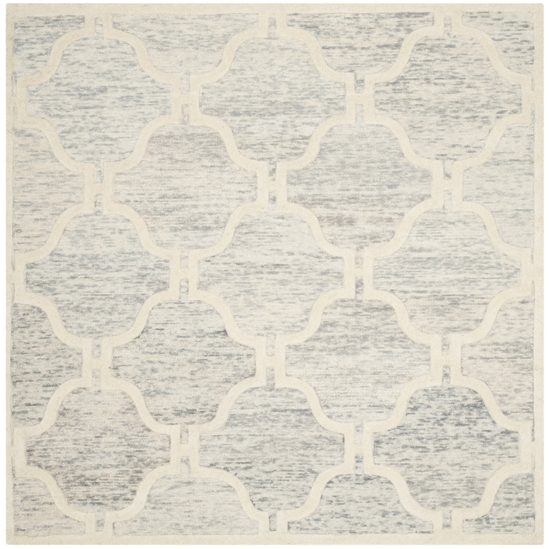 SAFAVIEH Cambridge CAM727G Light Grey / Ivory Rug Image 6