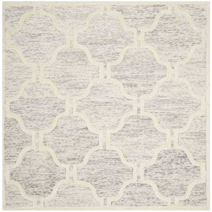 SAFAVIEH Cambridge CAM727G Light Grey / Ivory Rug Image 6