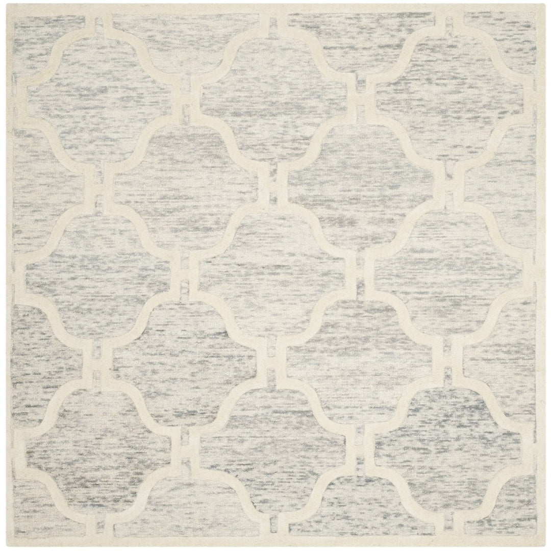 SAFAVIEH Cambridge CAM727G Light Grey / Ivory Rug Image 1