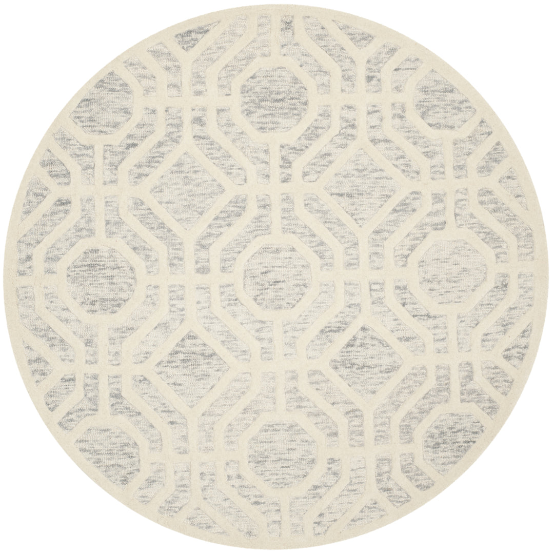 SAFAVIEH Cambridge CAM726G Light Grey / Ivory Rug Image 4