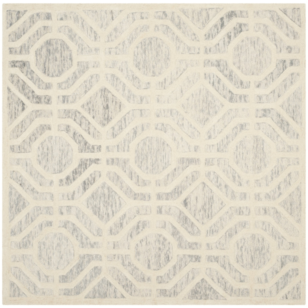 SAFAVIEH Cambridge CAM726G Light Grey / Ivory Rug Image 6