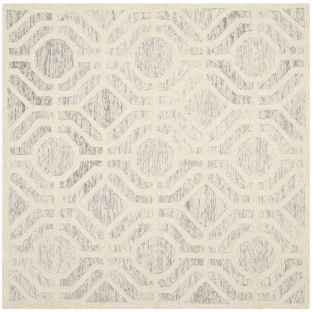 SAFAVIEH Cambridge CAM726G Light Grey / Ivory Rug Image 1