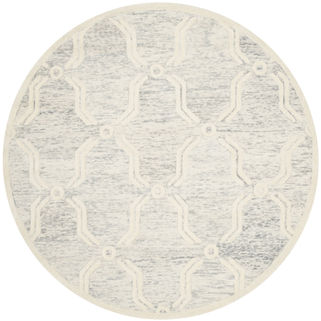 SAFAVIEH Cambridge CAM728G Light Grey / Ivory Rug Image 4