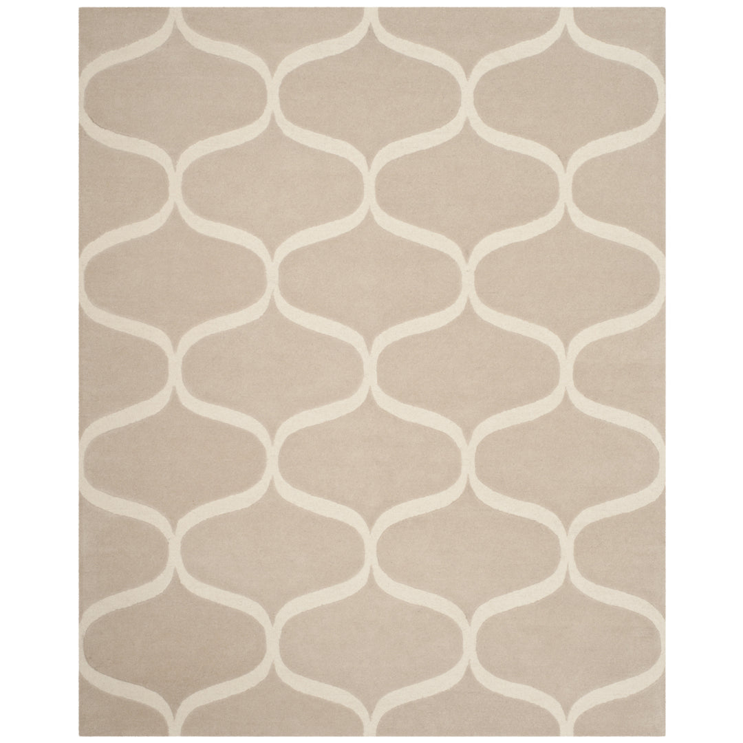 SAFAVIEH Cambridge CAM730J Light Beige / Ivory Rug Image 1