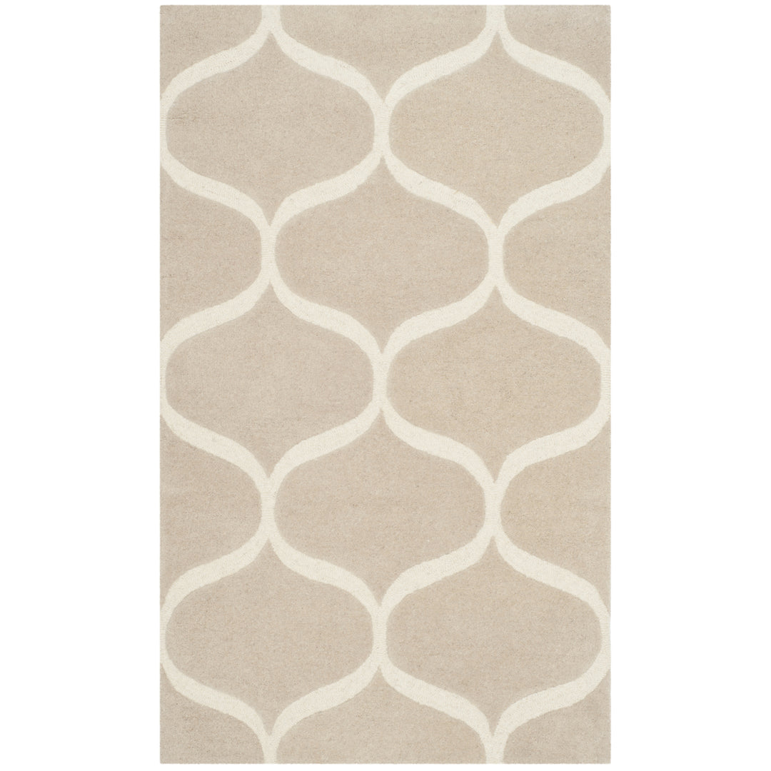 SAFAVIEH Cambridge CAM730J Light Beige / Ivory Rug Image 9