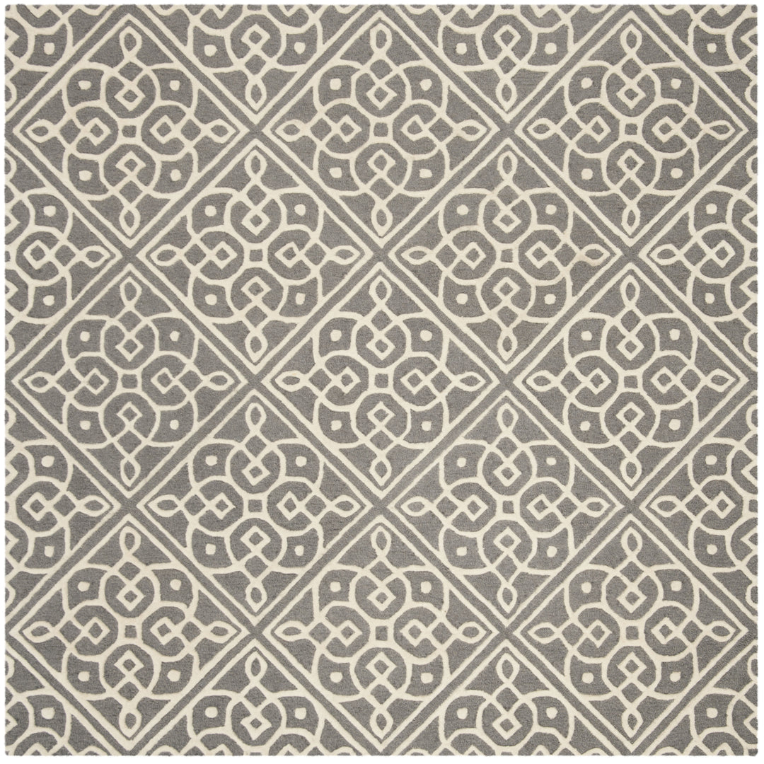 SAFAVIEH Cambridge CAM731D Dark Grey / Ivory Rug Image 6