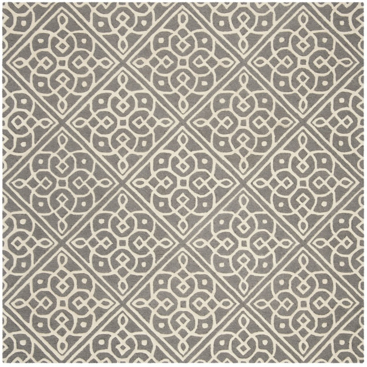 SAFAVIEH Cambridge CAM731D Dark Grey / Ivory Rug Image 1