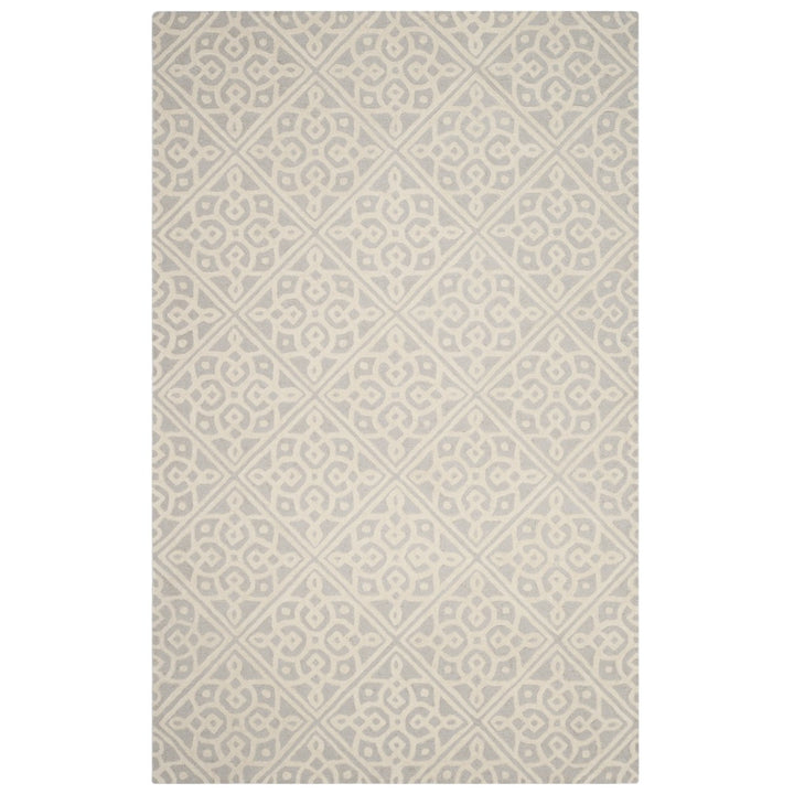 SAFAVIEH Cambridge CAM731G Light Grey / Ivory Rug Image 1