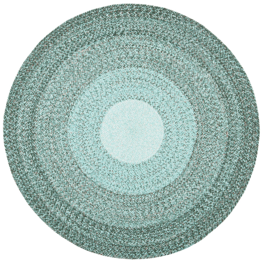 SAFAVIEH Cape Cod Collection CAP242Y Handwoven Green Rug Image 1