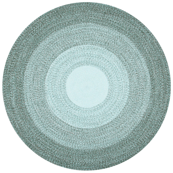 SAFAVIEH Cape Cod Collection CAP242Y Handwoven Green Rug Image 3