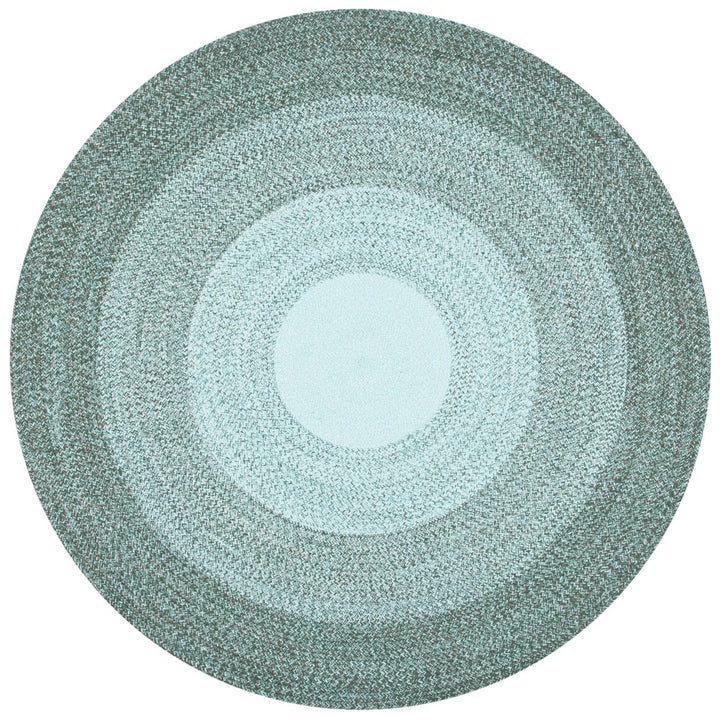 SAFAVIEH Cape Cod Collection CAP242Y Handwoven Green Rug Image 1