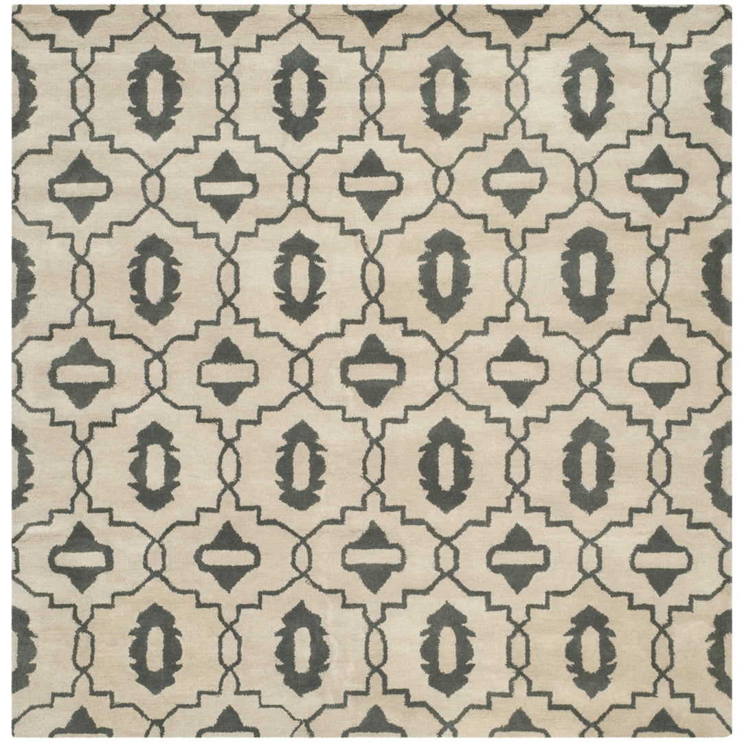 SAFAVIEH Chatham CHT632A Handmade Beige / Grey Rug Image 5