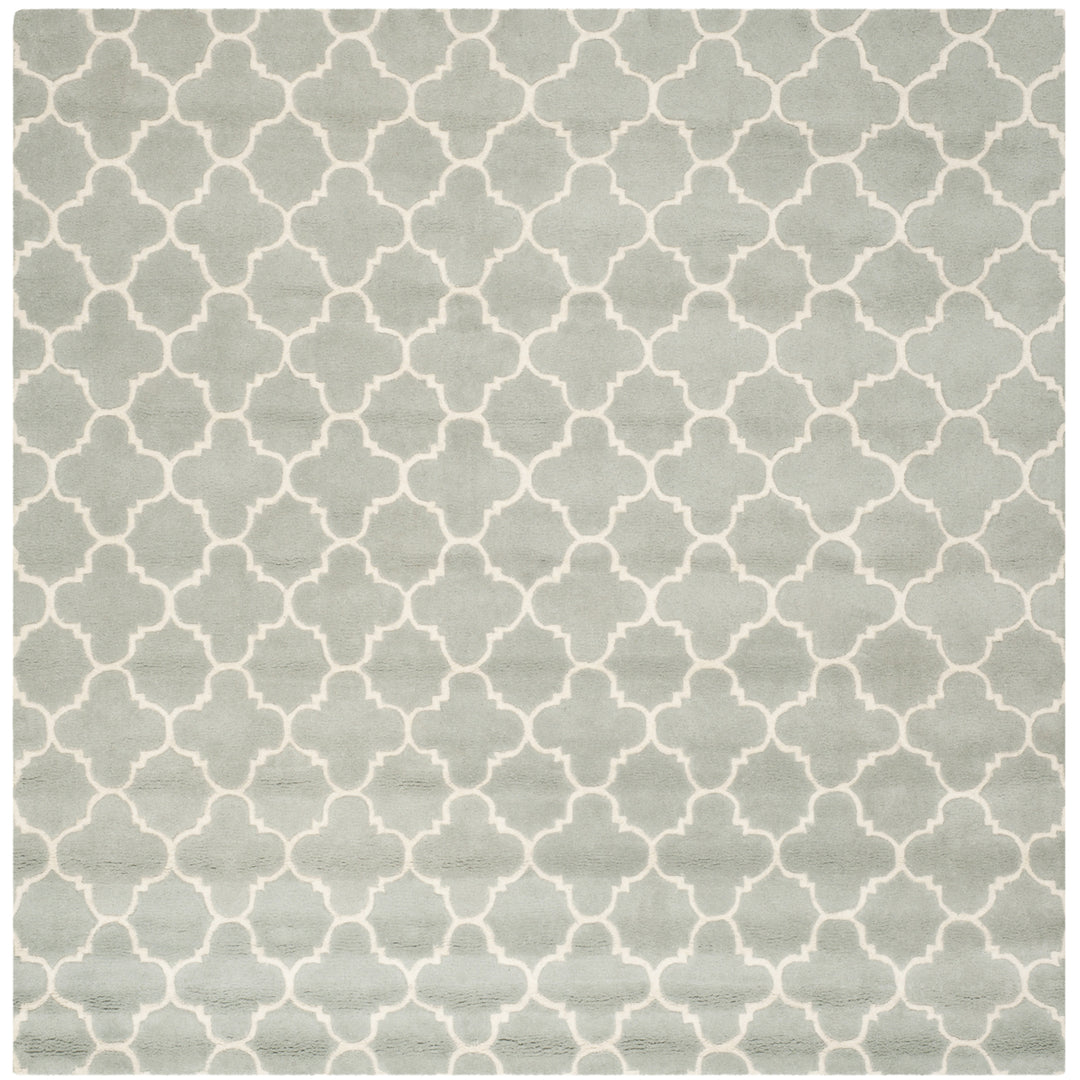 SAFAVIEH Chatham CHT717E Handmade Grey / Ivory Rug Image 5