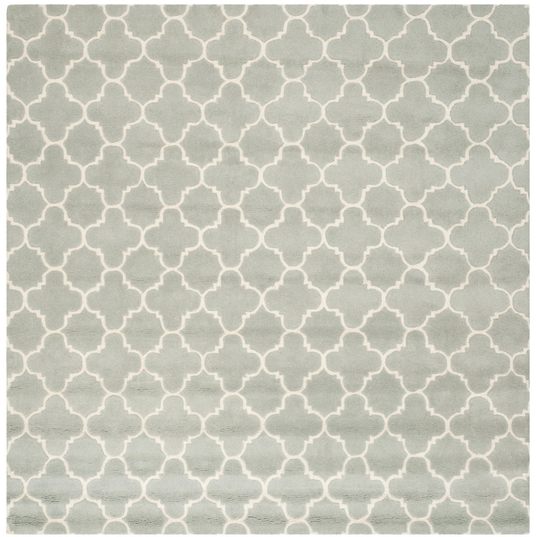 SAFAVIEH Chatham CHT717E Handmade Grey / Ivory Rug Image 1