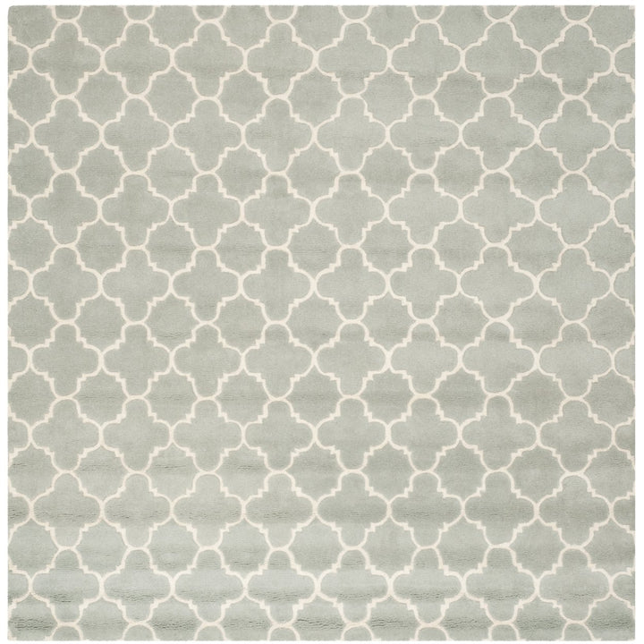 SAFAVIEH Chatham CHT717E Handmade Grey / Ivory Rug Image 1