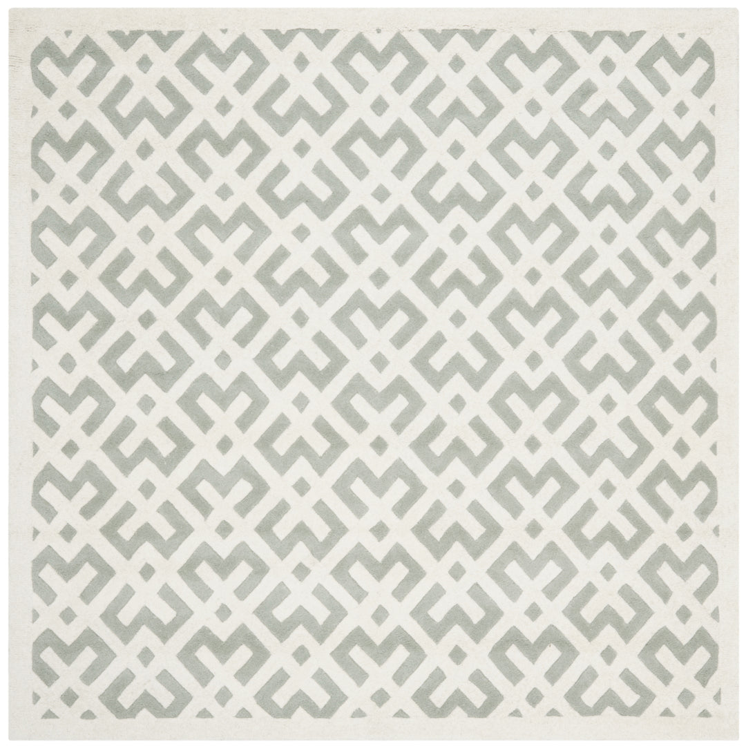 SAFAVIEH Chatham CHT719E Handmade Grey / Ivory Rug Image 6