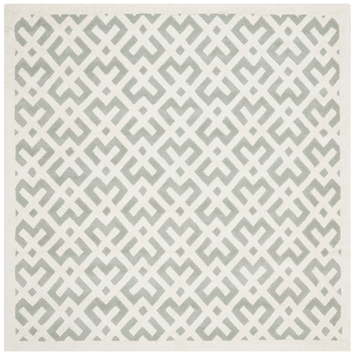 SAFAVIEH Chatham CHT719E Handmade Grey / Ivory Rug Image 6