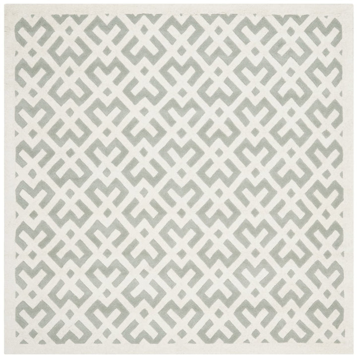 SAFAVIEH Chatham CHT719E Handmade Grey / Ivory Rug Image 1