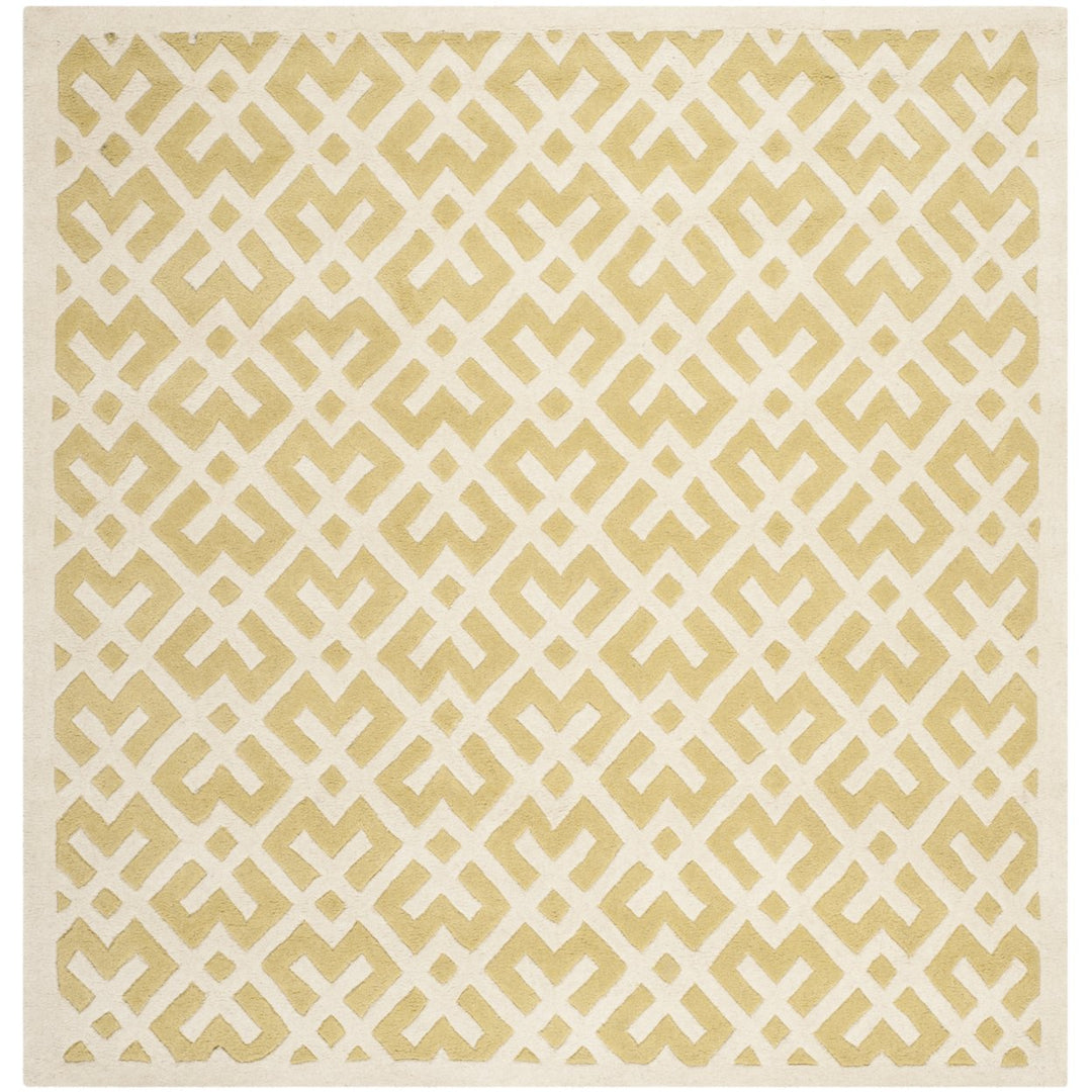 SAFAVIEH Chatham CHT719L Handmade Light Gold / Ivory Rug Image 5