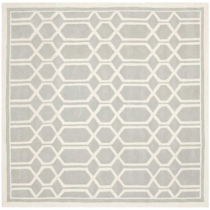 SAFAVIEH Chatham CHT725E Handmade Grey / Ivory Rug Image 6