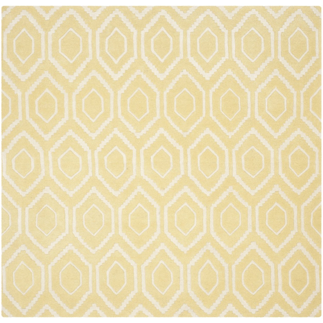 SAFAVIEH Chatham CHT731L Handmade Light Gold / Ivory Rug Image 10