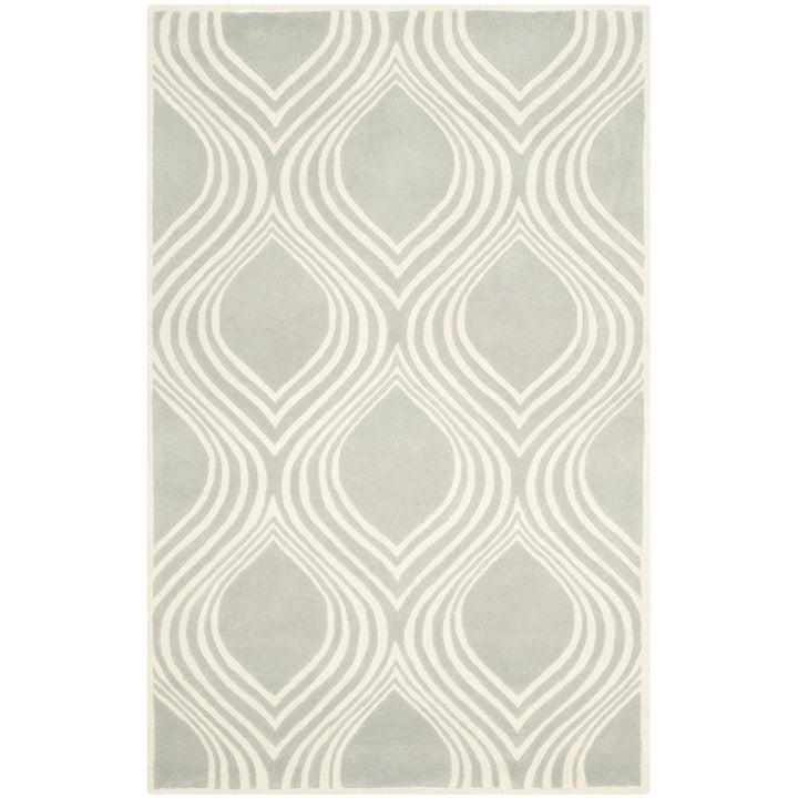 SAFAVIEH Chatham CHT758E Handmade Grey / Ivory Rug Image 1