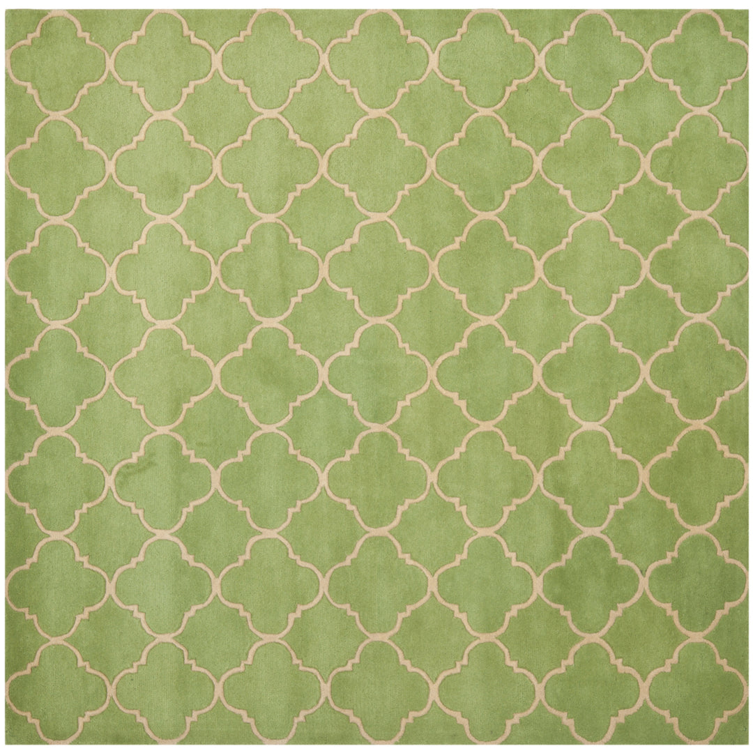 SAFAVIEH Chatham Collection CHT935B Handmade Green Rug Image 8