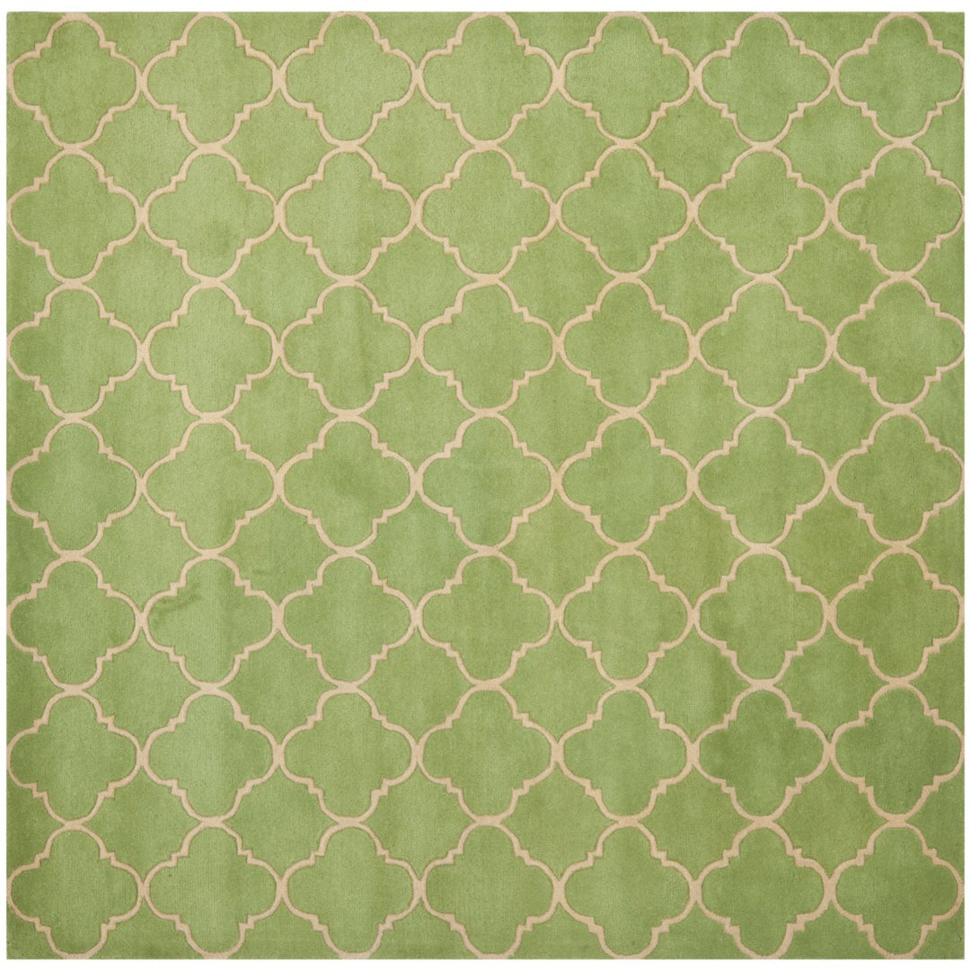 SAFAVIEH Chatham Collection CHT935B Handmade Green Rug Image 1