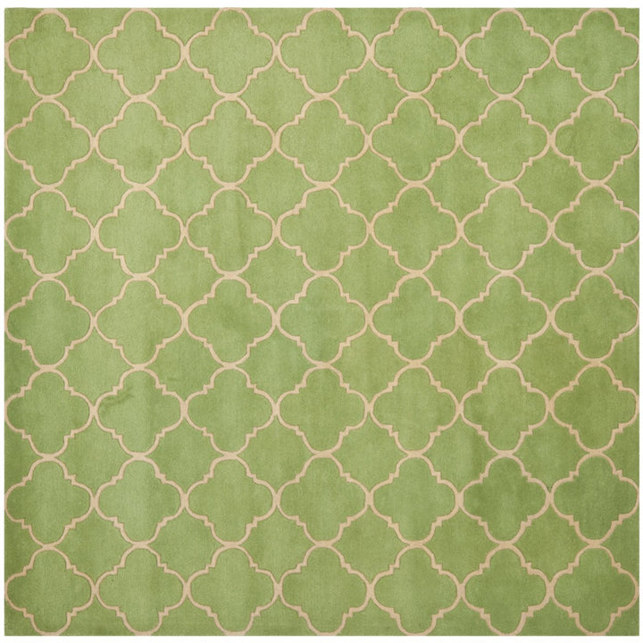 SAFAVIEH Chatham Collection CHT935B Handmade Green Rug Image 1