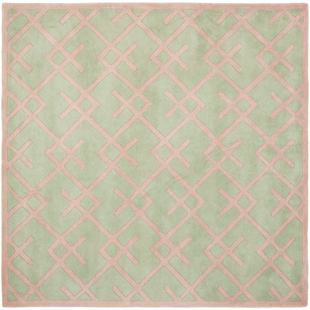 SAFAVIEH Chatham Collection CHT941B Handmade Green Rug Image 6