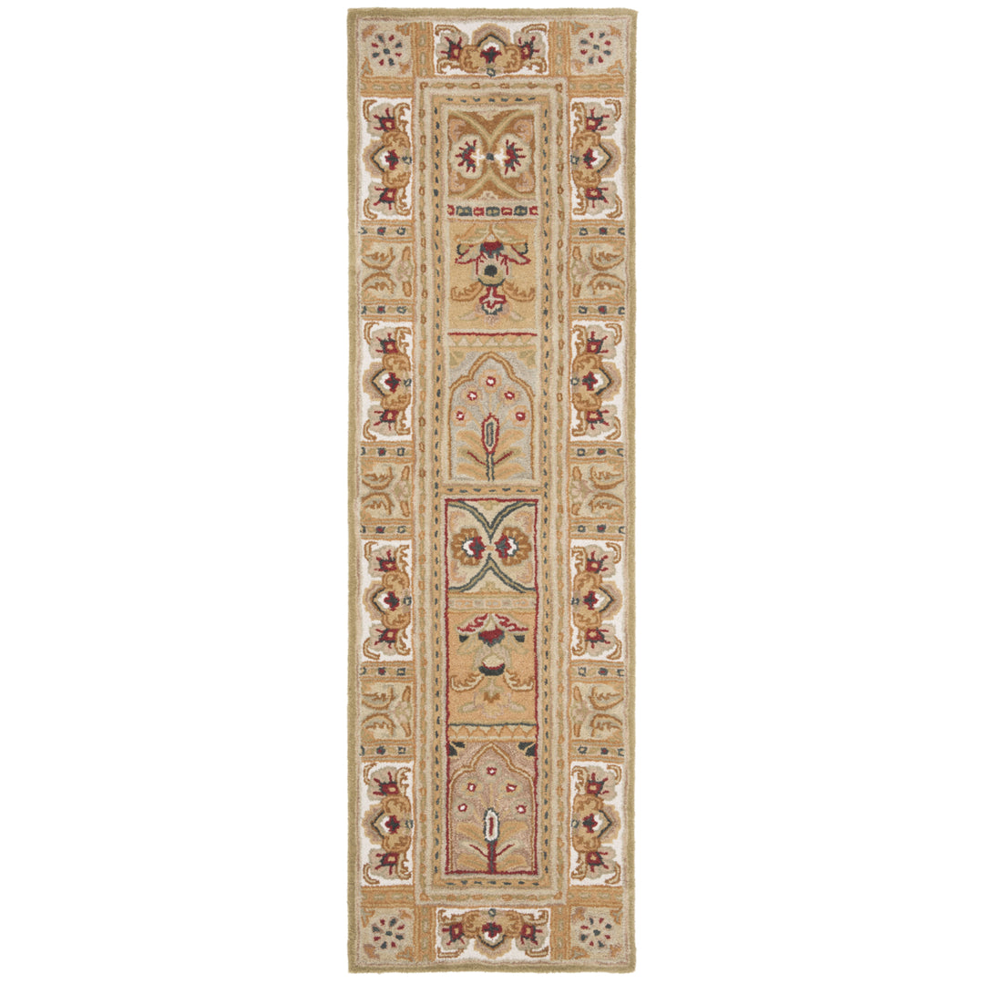 SAFAVIEH CL305A Classic Sage / Multi Image 3