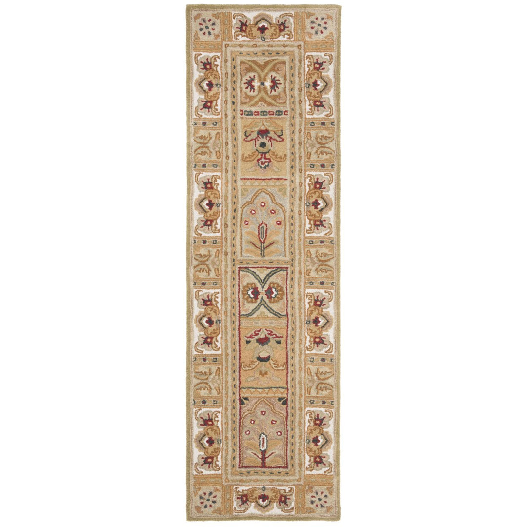 SAFAVIEH CL305A Classic Sage / Multi Image 1