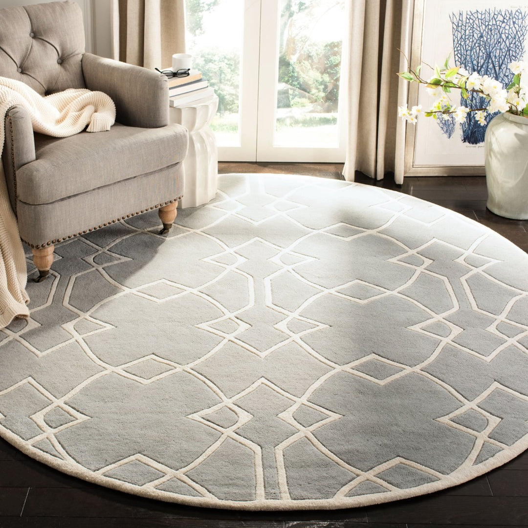 SAFAVIEH Capri CPR343A Handmade Grey / Ivory Rug Image 3