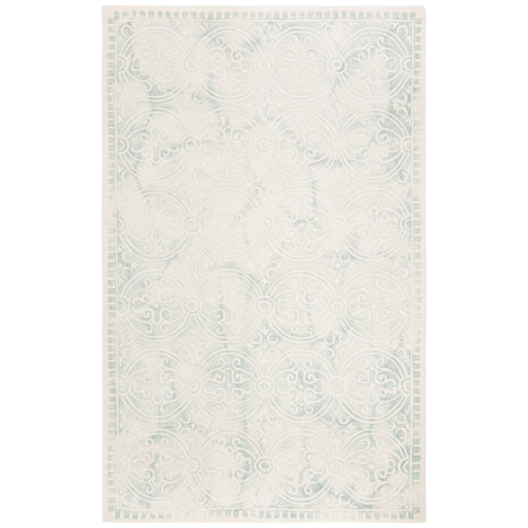 SAFAVIEH Dip Dye DDY211J Handmade Light Green /Ivory Rug Image 9