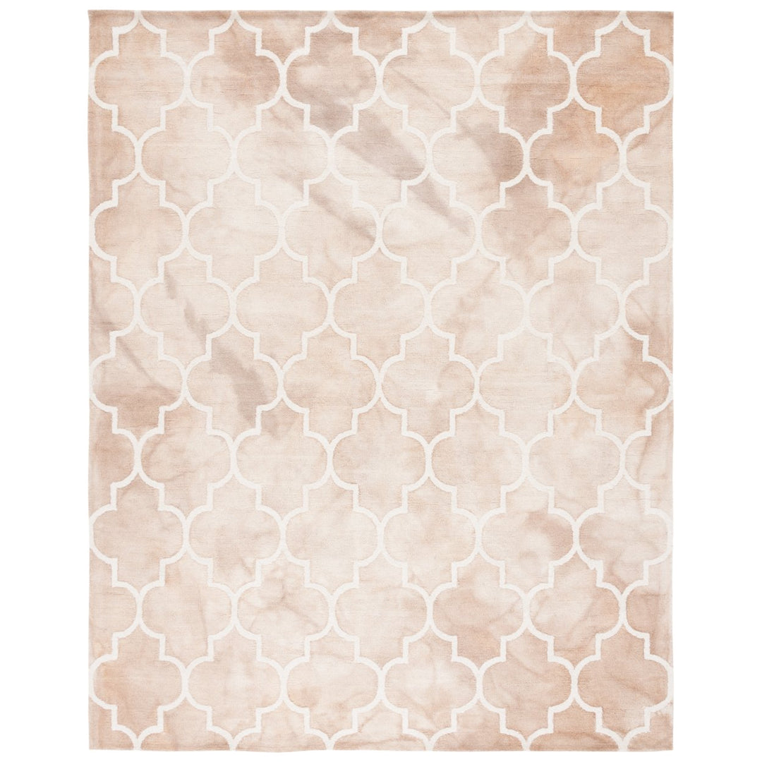 SAFAVIEH Dip Dye DDY535G Handmade Beige / Ivory Rug Image 1