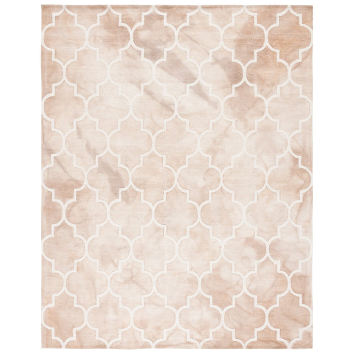 SAFAVIEH Dip Dye DDY535G Handmade Beige / Ivory Rug Image 1