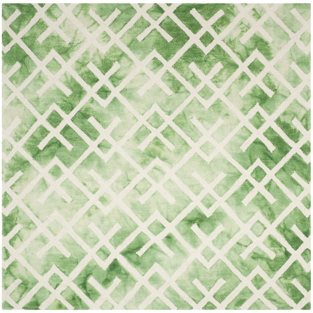 SAFAVIEH Dip Dye DDY677Q Handmade Green / Ivory Rug Image 1