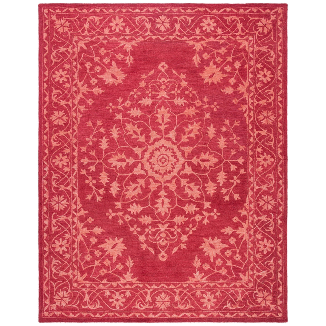 SAFAVIEH Dip Dye Collection DDY702Q Handmade Red Rug Image 1