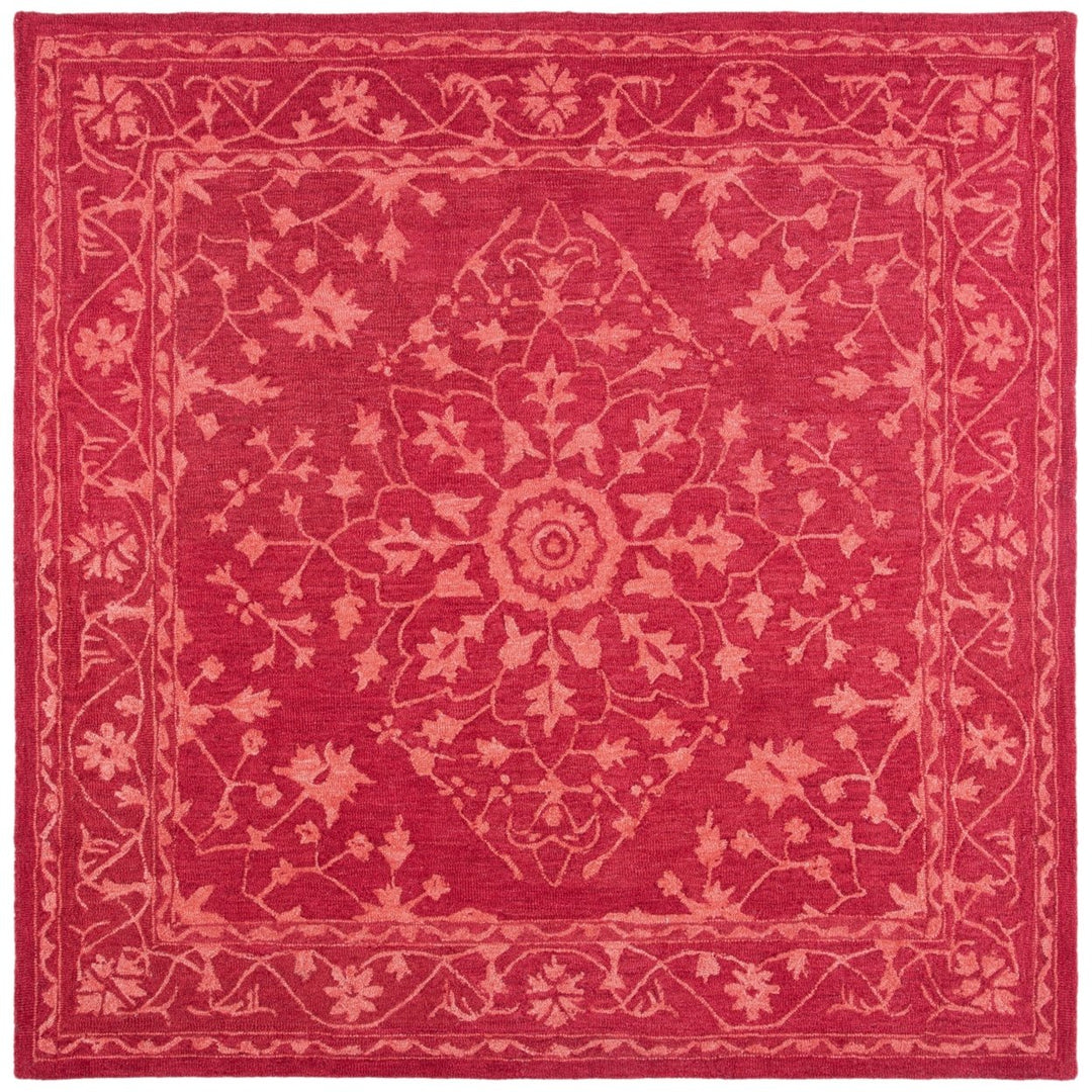 SAFAVIEH Dip Dye Collection DDY702Q Handmade Red Rug Image 1