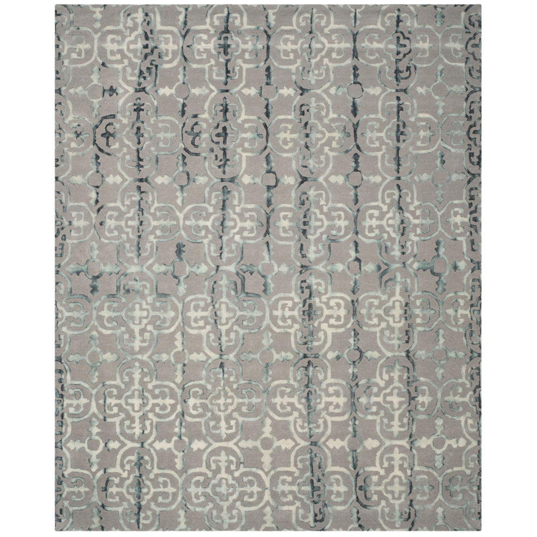 SAFAVIEH Dip Dye DDY711B Handmade Grey / Charcoal Rug Image 1