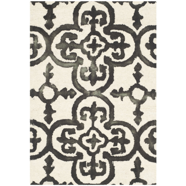 SAFAVIEH Dip Dye DDY711D Handmade Ivory / Charcoal Rug Image 8