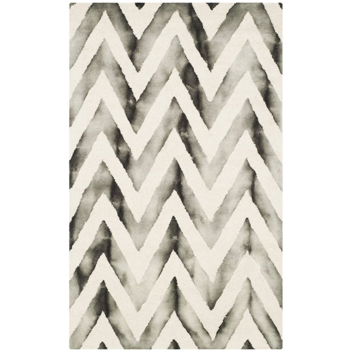 SAFAVIEH Dip Dye DDY715D Handmade Ivory / Charcoal Rug Image 1